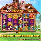 dog house slot